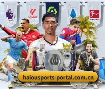 海鸥体育 APP(HOSPORTS)